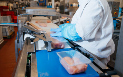 Produkcja / Pakownia mięsnych przekąsek
